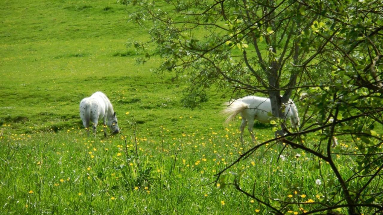 Appaloosa Villa Lormes Bagian luar foto